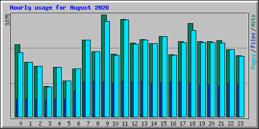 Hourly usage for August 2026